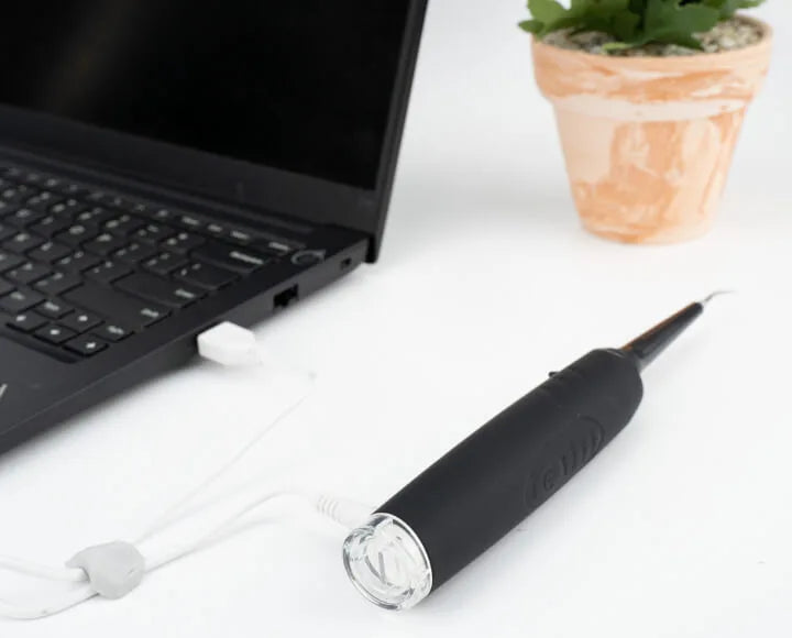 Dental Plaque Remover